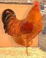 /album/galeria-de-fotos/newhampshire-jpg/