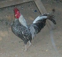 /album/galeria-de-fotos/pqaaak25zyrvkyopuq6nzwg7gov9rndeipq9kcr3wqza6hkrwkvxcrjkxsfopsl7wpjfef65baebusprpy69asvs-agam1t1uhxgazraiit5pw7uostfyp-wj1jx-jpg/